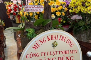 khai-truong-khach-san-hoang-dung